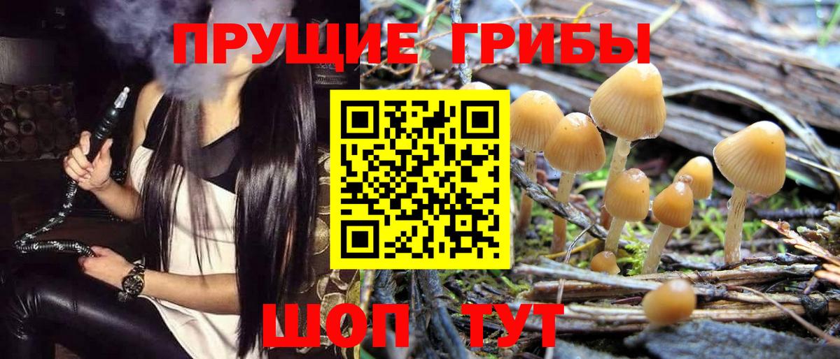 Галлюциногенные грибы Magic Shrooms Соль-Илецк
